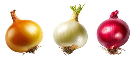 Onions yellow white and red varieties with roots and shoots