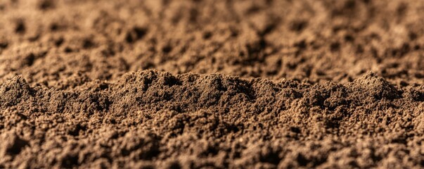 Close-up of loamy soil, highlighting its moisture retention properties