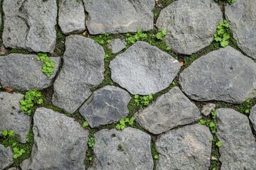 Obraz premium Rough stone pavement texture with worn surfaces and moss growing between