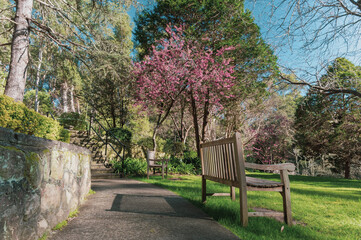 Stroll through this beautiful landscape reflecting the character of English gardens in a bushland setting