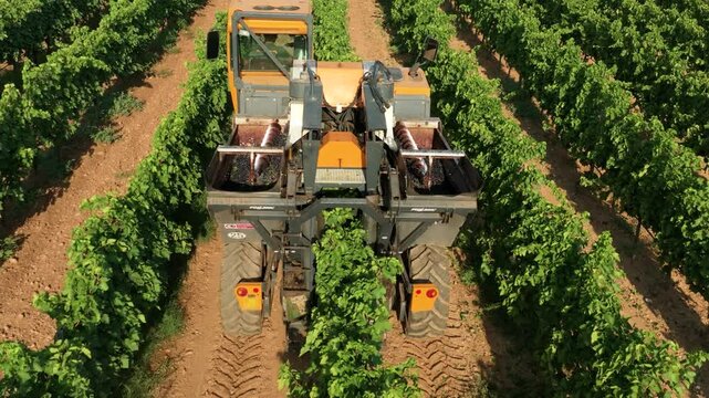 GRAPE HARVESTER, REAR IN SLOW MOTION 4
