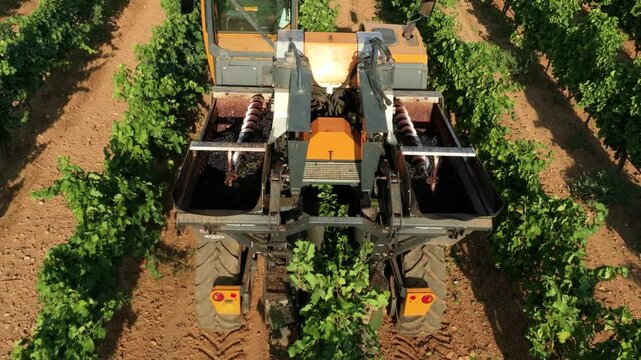 GRAPE HARVESTER, REAR IN SLOW MOTION 2