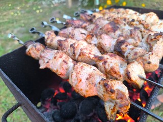 juicy shish kebab on skewers