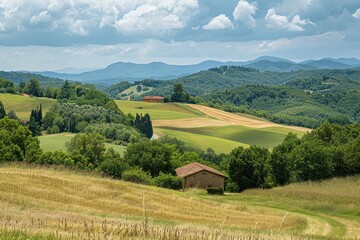 Obraz premium A single-family home situated in a green open field