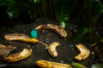 And One for the Road