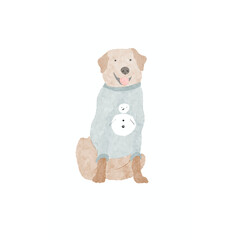 Watercolor adorable retriever dog wearing winter sweater and sitting. Handdrawn illustration, isolated on white background