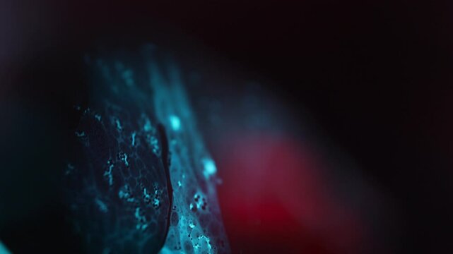 Movement of white paint spots, fluid sphere, plasma, surface movement, water texture, white stream, Movement of liquid on a dark background, white paint in a fast flow