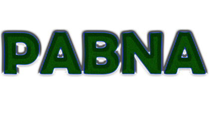 Create a bold, textured word ‘PABNA’ with a green grassy pattern