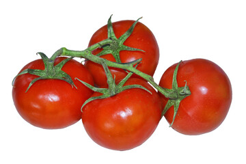 Bunch of fresh red tomatoes with green stems isolated on white background. Top view