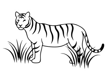 A captivating vector illustration of a tiger hiding in long grasses, intently watching for its prey. Perfect for wildlife art, nature themes, and animal-related designs.