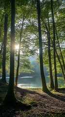 Tranquil lake in the middle of a forest with lush green trees, sunlight shining through the leaves and casting shadows on the ground.