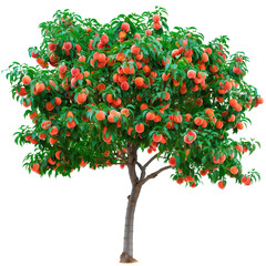 Peach Tree Bliss: A Lush Harvest of Nature's Sweetest Fruit on White