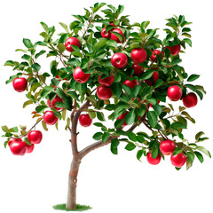 Apple Tree with Red Apples Isolated on Transparent Background, Symbol of Abundance and Harvest
