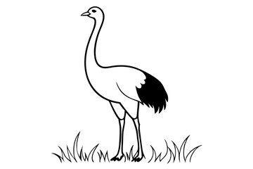 Fototapeta premium A detailed vector artwork of a common ostrich standing in the grasslands of the Savanna, showcasing the bird's natural habitat and majestic presence. Ideal for wildlife and nature-themed designs.