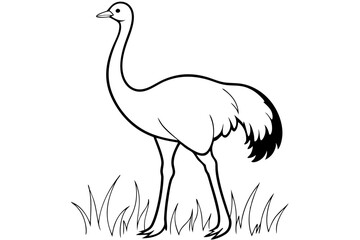 A detailed vector artwork of a common ostrich standing in the grasslands of the Savanna, showcasing the bird's natural habitat and majestic presence. Ideal for wildlife and nature-themed designs.