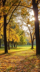 Golden Autumn Landscape with Sunlight Through Trees in Park