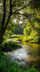 Fototapeta premium Tranquil river flowing through lush green forest with sunlight streaming through leaves