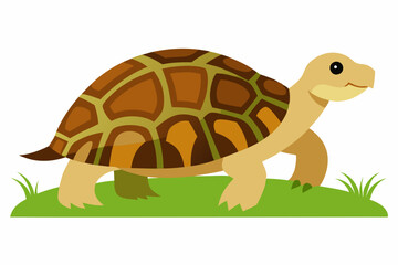 A detailed vector illustration of a Leopard Tortoise in the grassland of the Savanna, showcasing its distinctive shell pattern in a natural habitat.