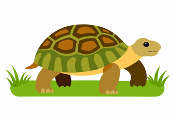 A detailed vector illustration of a Leopard Tortoise in the grassland of the Savanna, showcasing its distinctive shell pattern in a natural habitat.