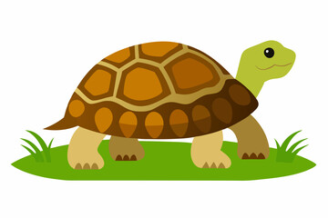 A detailed vector illustration of a Leopard Tortoise in the grassland of the Savanna, showcasing its distinctive shell pattern in a natural habitat.