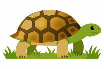 A detailed vector illustration of a Leopard Tortoise in the grassland of the Savanna, showcasing its distinctive shell pattern in a natural habitat.