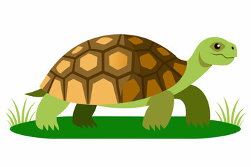 A detailed vector illustration of a Leopard Tortoise in the grassland of the Savanna, showcasing its distinctive shell pattern in a natural habitat.