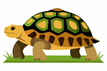 A detailed vector illustration of a Leopard Tortoise in the grassland of the Savanna, showcasing its distinctive shell pattern in a natural habitat.