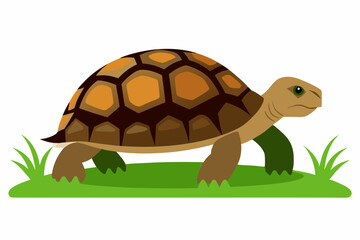 A detailed vector illustration of a Leopard Tortoise in the grassland of the Savanna, showcasing its distinctive shell pattern in a natural habitat.
