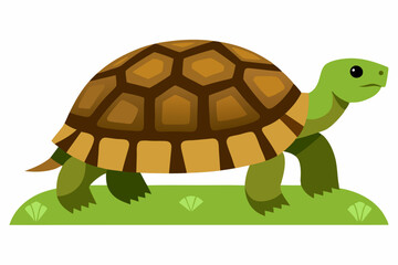 A detailed vector illustration of a Leopard Tortoise in the grassland of the Savanna, showcasing its distinctive shell pattern in a natural habitat.