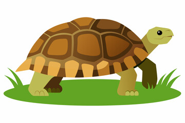 A detailed vector illustration of a Leopard Tortoise in the grassland of the Savanna, showcasing its distinctive shell pattern in a natural habitat.