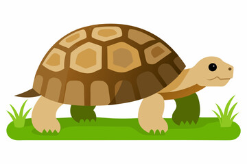 A detailed vector illustration of a Leopard Tortoise in the grassland of the Savanna, showcasing its distinctive shell pattern in a natural habitat.