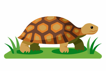 A detailed vector illustration of a Leopard Tortoise in the grassland of the Savanna, showcasing its distinctive shell pattern in a natural habitat.