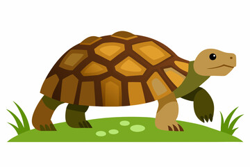 A detailed vector illustration of a Leopard Tortoise in the grassland of the Savanna, showcasing its distinctive shell pattern in a natural habitat.