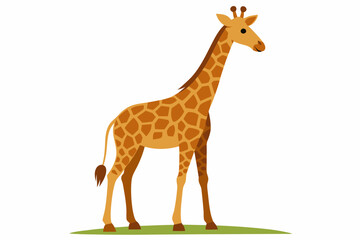 Elegant vector illustration of a Masai giraffe standing tall in the grasslands of the savanna. Perfect for wildlife-themed designs, educational materials, and African landscape projects.