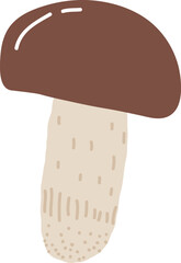 Handdrawn Mushroom Plant