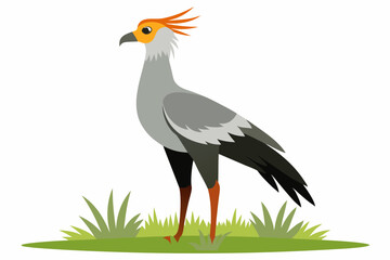 Detailed vector artwork of a Secretary Bird walking through the grasslands of the savanna. Ideal for wildlife designs, educational content, and African-themed nature projects.