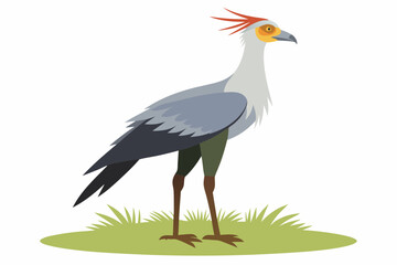 Obraz premium Detailed vector artwork of a Secretary Bird walking through the grasslands of the savanna. Ideal for wildlife designs, educational content, and African-themed nature projects.
