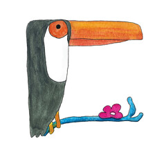 Little adorable Tukan as an illustration for children and adults on a white background  © br.illu