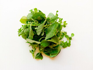 Leafy greens - spinach (Botanical Name - Spinacia oleracea)