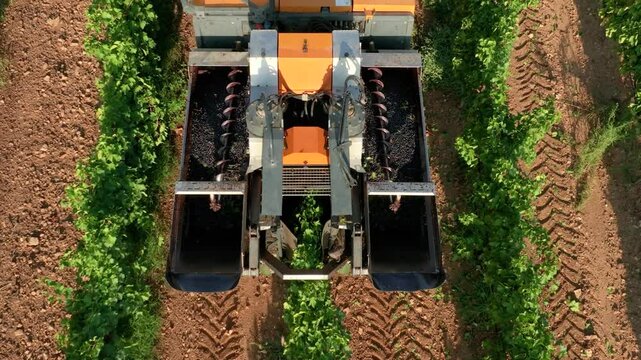 GRAPE HARVESTER, FROM ABOVE IN SLOW MOTION