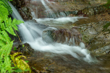 清らかに流れる小川の水
