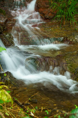 清らかに流れる小川の水