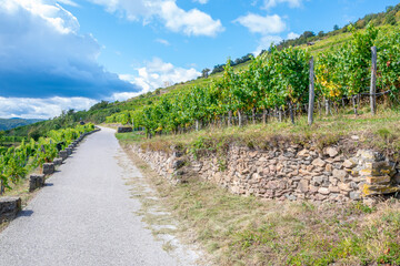 Obraz premium The road goes through a vineyard in the mountains on rocky terrain.