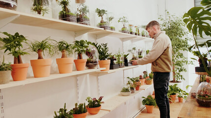 Young gardener arranges plants on shelves. Home gardening, love of houseplants, freelance, eco hobby