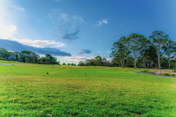 The Australian Botanic Garden, Mount Annan is the Australian native plant garden of the Royal Botanic Gardens, Sydney and covers 416 hectares