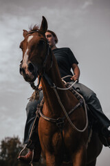 Obraz premium Horse riding woman on a brown stallion, western style saddle horseback rider