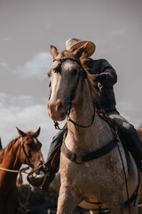 Obraz premium Cowboy riding a horse, white stallion wearing a western bridle