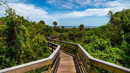 Fototapeta premium Walking path in Florida. Luxurious vegetation and a wooded walkway. 