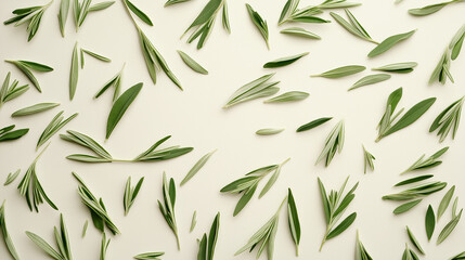 Naklejka premium tarragon leaves: a loose frame made from dried tarragon leaves, scattered lightly across a soft cream background, the delicate green leaves create a fresh, aromatic atmosphere