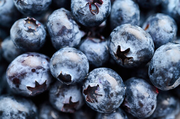 Fresh, Ripe, Blueberries 